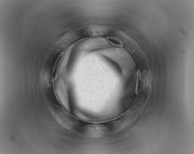 X0000112080316200908251111