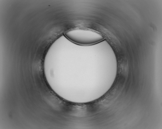 X0000112080317200908251111