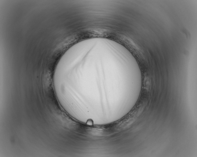 X0000112080318200908251111