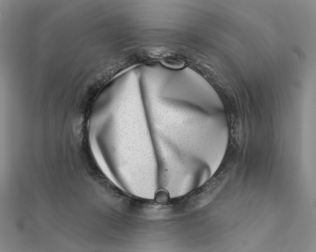 X0000112080319200908251111