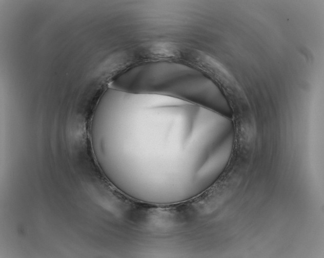 X0000112080320200908251110