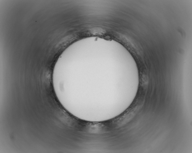 X0000112080321200908251110