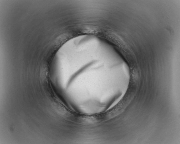 X0000112080322200908251110