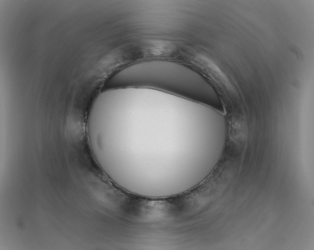 X0000112080324200908251110