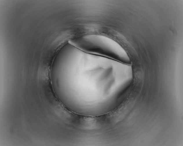 X0000112080325200908251110