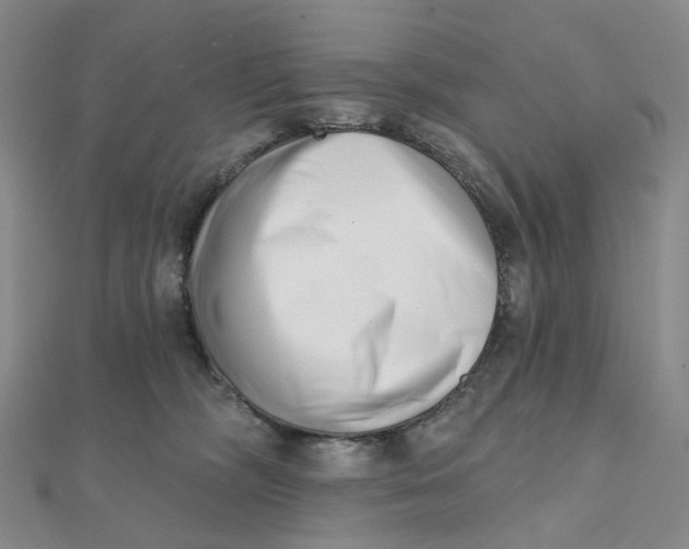 X0000112080326200908251110