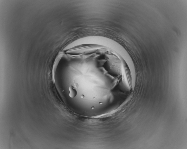 X0000112080327200908251110