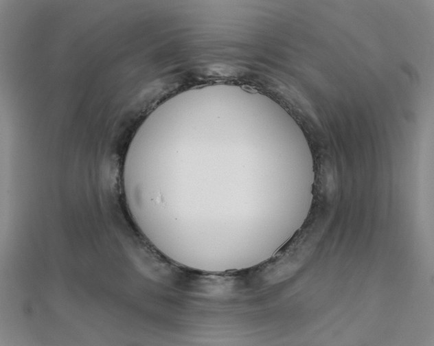 X0000112080328200908251110