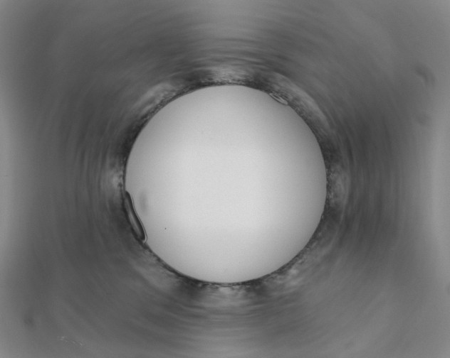 X0000112080329200908251110