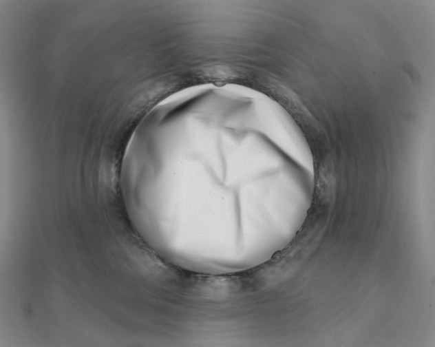 X0000112080330200908251110