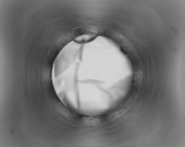 X0000112080331200908251110