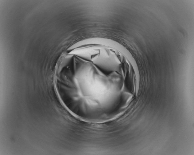 X0000112080332200908251110