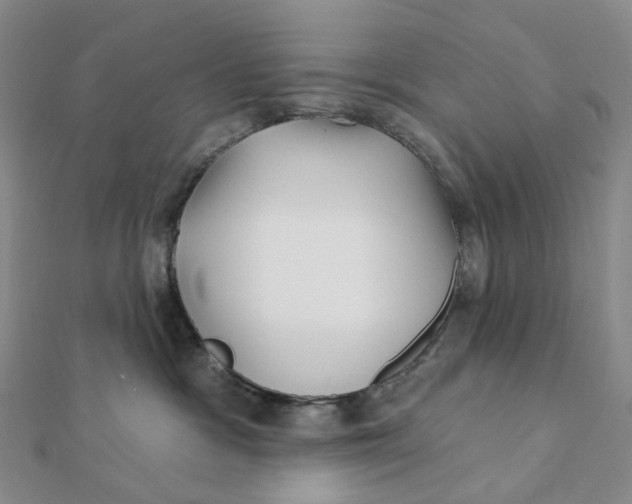 X0000112080333200908251110