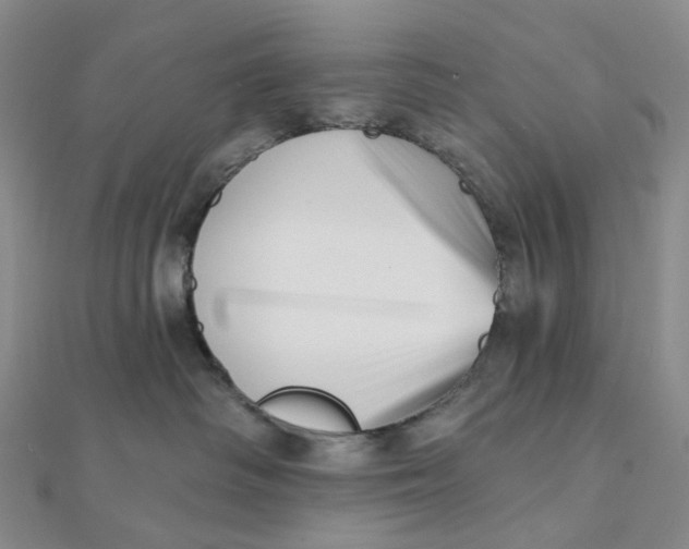 X0000112080334200908251110