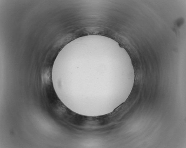 X0000112080335200908251110