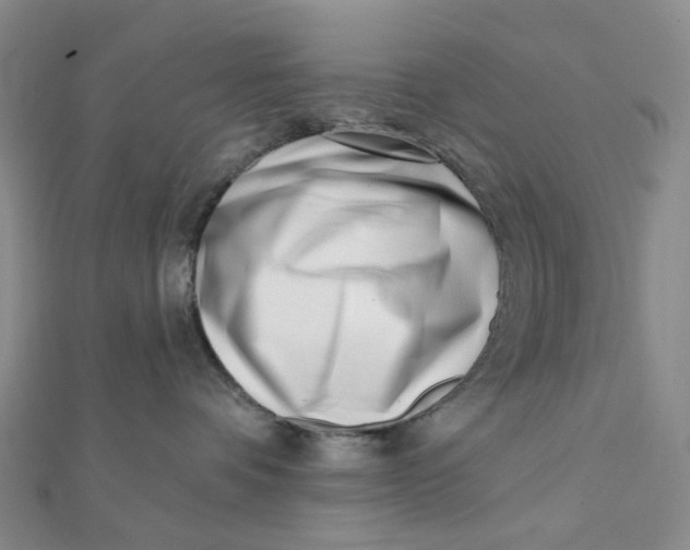 X0000112080336200908251110