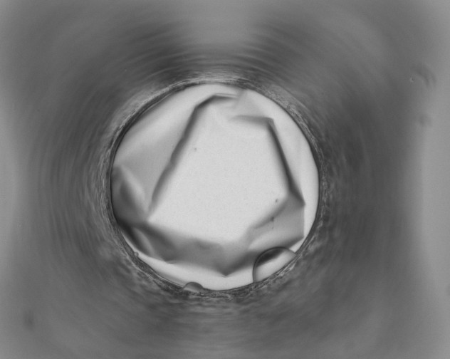 X0000112080337200908251110