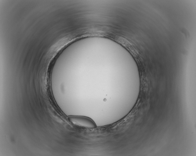 X0000112080338200908251110