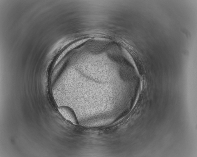 X0000112080339200908251110