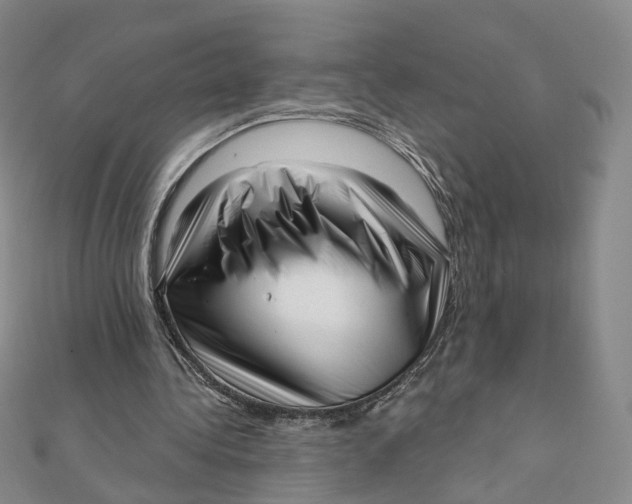 X0000112080340200908251110