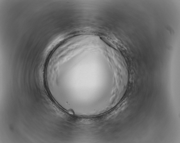 X0000112080341200908251110