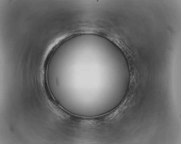 X0000112080342200908251110