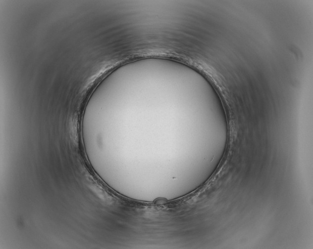 X0000112080345200908251110