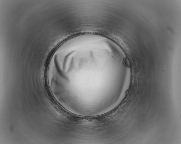 X0000112080346200908251110