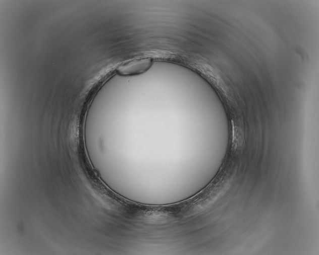 X0000112080348200908251110