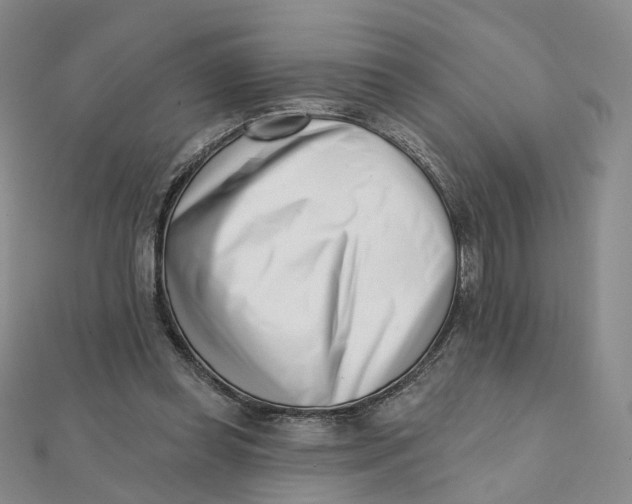 X0000112080349200908251110
