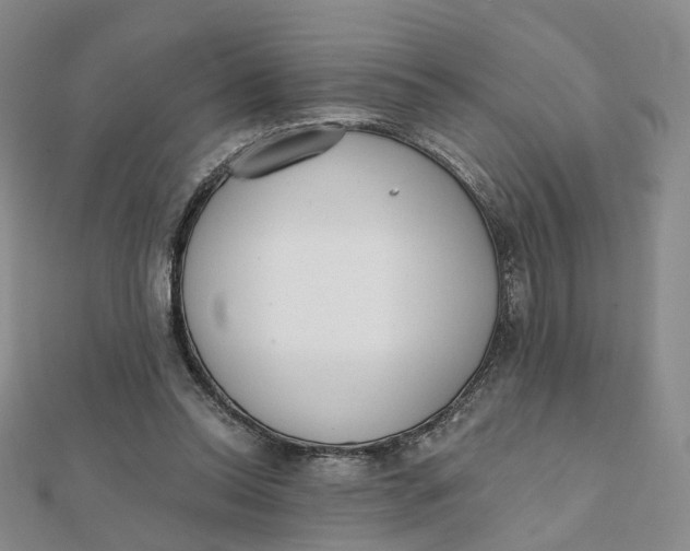 X0000112080350200908251110