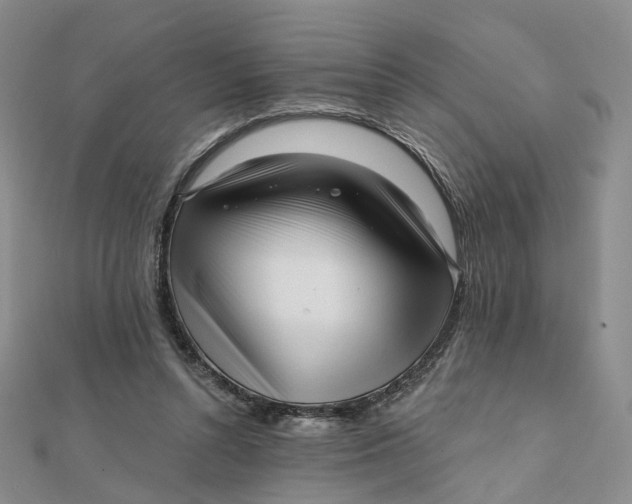 X0000112080352200908251110