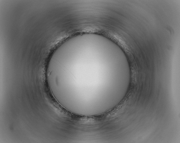 X0000112080354200908251110