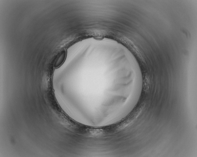 X0000112080355200908251110