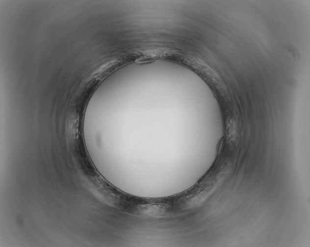X0000112080356200908251110