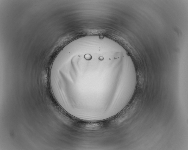 X0000112080357200908251110