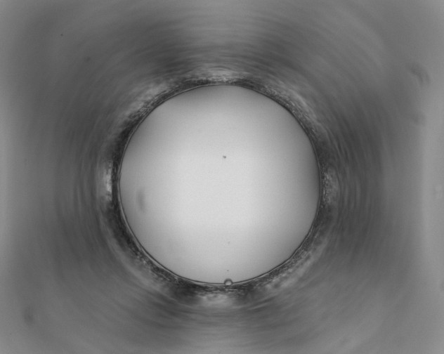 X0000112080358200908251110