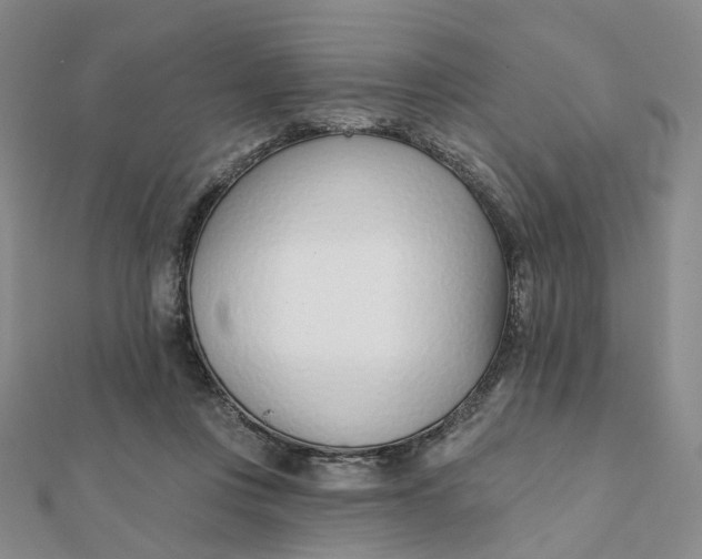 X0000112080359200908251110