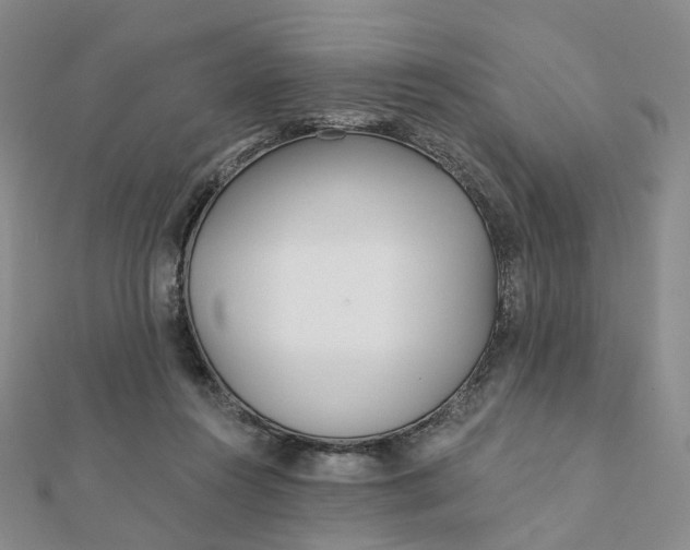 X0000112080360200908251110