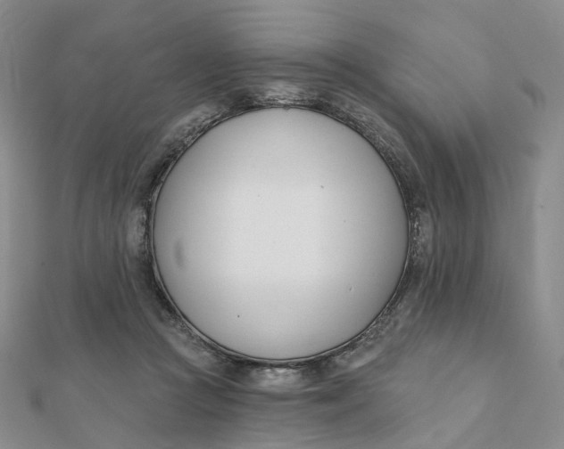 X0000112080361200908251110