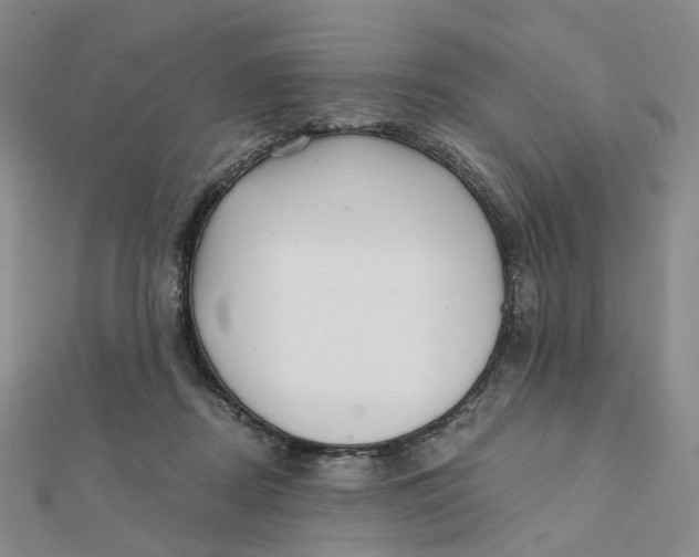 X0000112080362200908251110