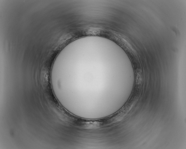 X0000112080363200908251110