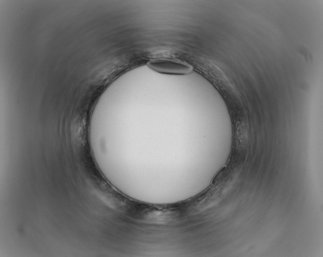 X0000112080364200908251110