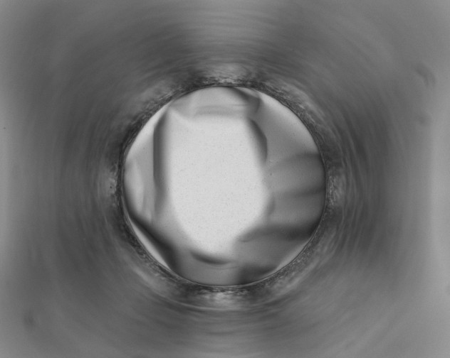 X0000112080365200908251110