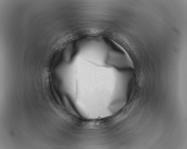 X0000112080366200908251110