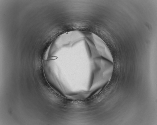 X0000112080367200908251110