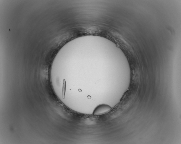 X0000112080368200908251110