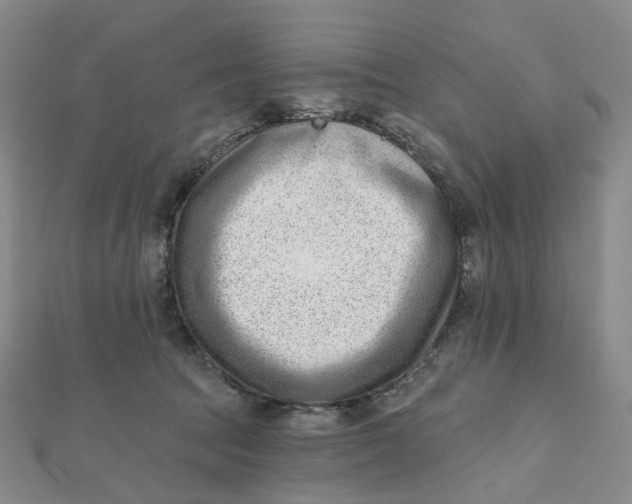 X0000112080369200908251110