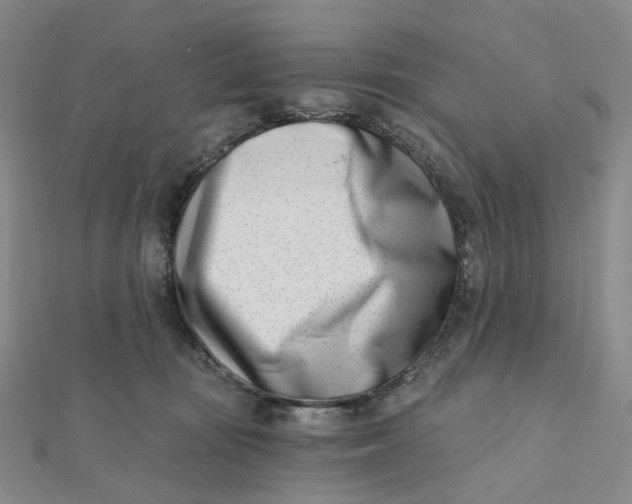 X0000112080371200908251110