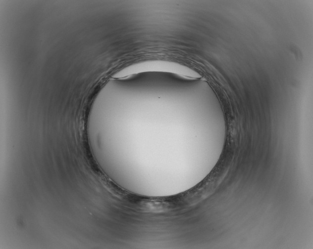 X0000112080372200908251110